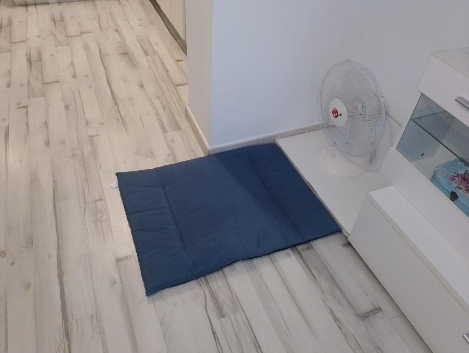 Casa Sol Y Mar 3K Apartment Торевиеха Стая снимка